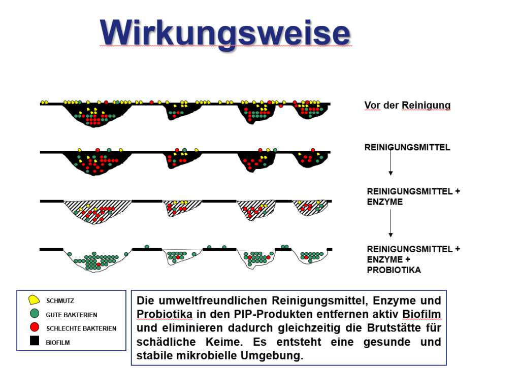 Bild-02-PIP-1024x725 (1)